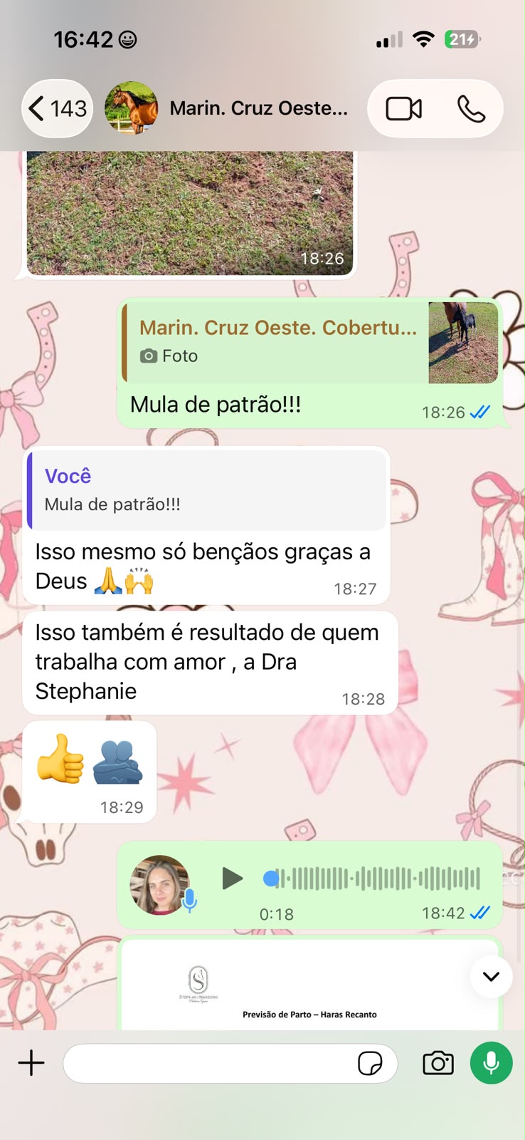 Print de conversa no WhatsApp com cliente elogiando o trabalho da Dra. Stephani Nardoni
