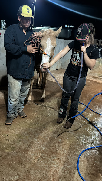 Atendimento de emergência a cavalo no período da noite